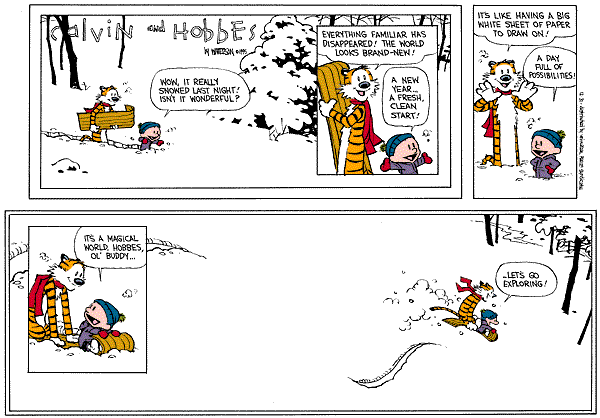 Farewell Calvin & Hobbes!